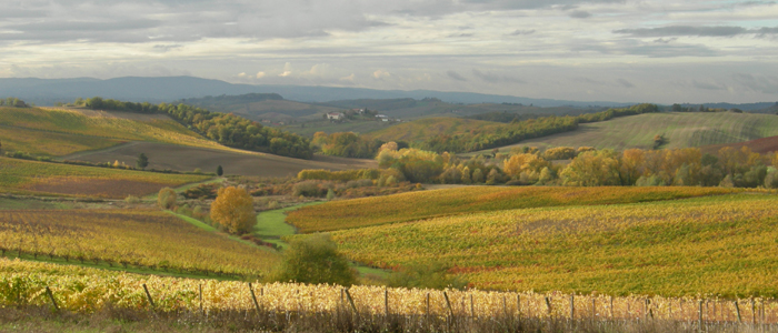 The Tuscan countryside in the autumn, the realm of Italian red wine